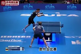 熊猫直播官网-波兰乒乓球队翻盘法国乒乓球队，波尔三分雨点燃全场